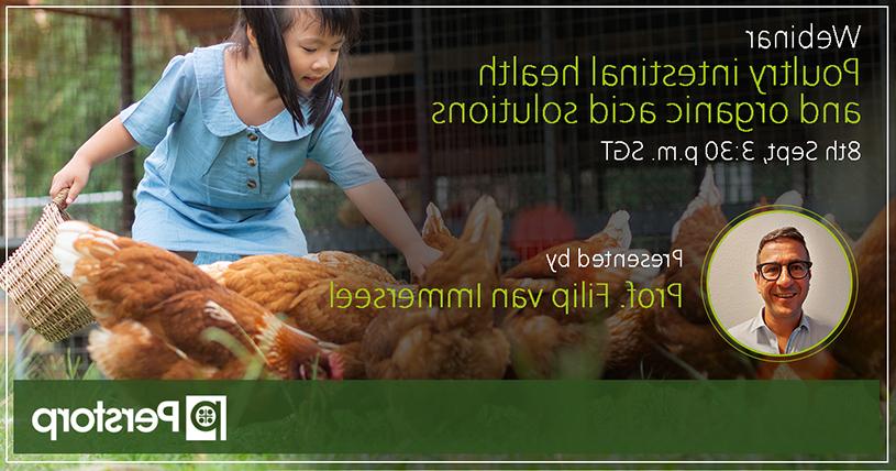 Webinar Poultry Intestinal Health and organic acid solutions